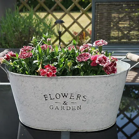 Hola Auszeit - Ehemalige Scheune Am Dassower * Dassow