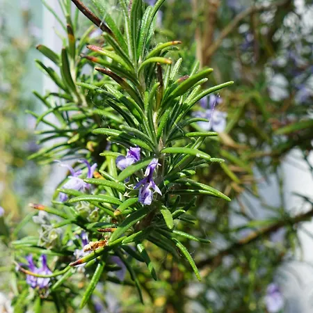 Hola Auszeit - Ehemalige Scheune Am Dassower