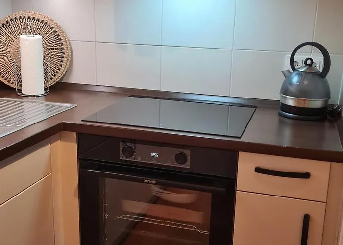 Hola Auszeit - Ehemalige Scheune Am Dassower Apartment